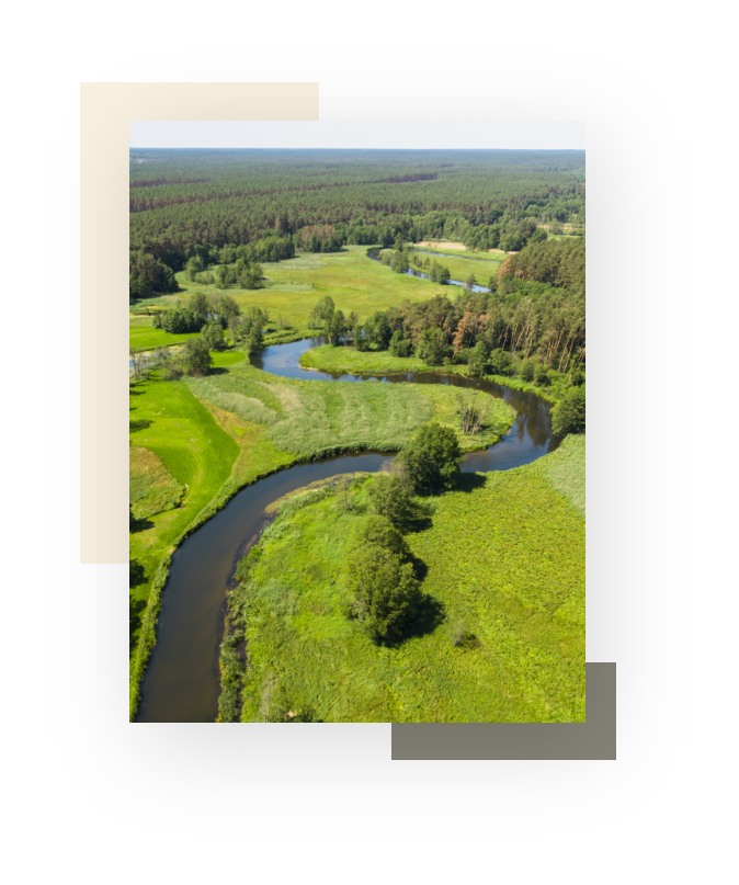 natura - bory tucholskie Łuczniczka